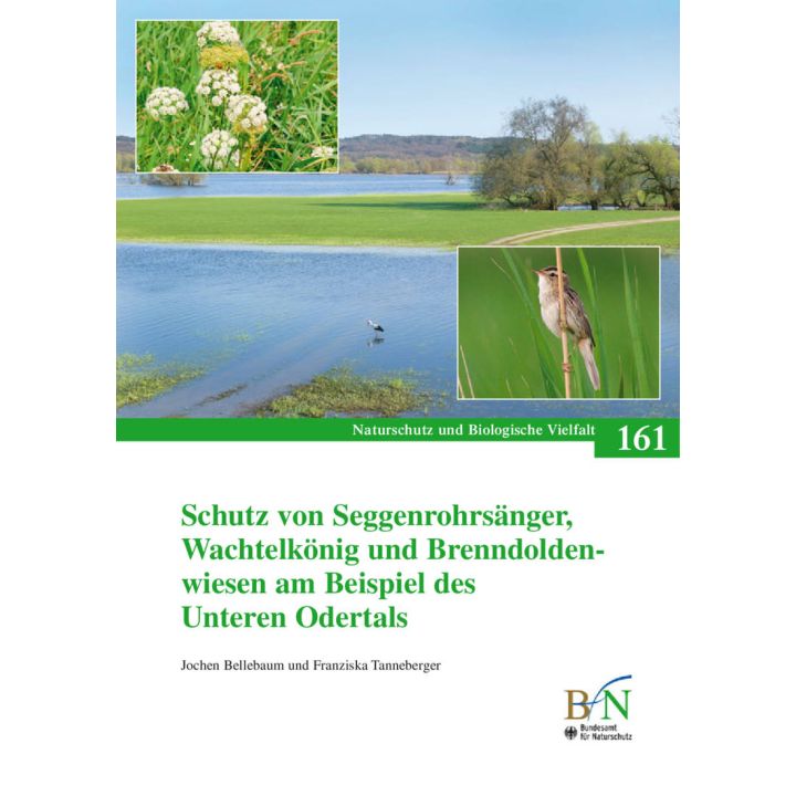 NaBiV Heft 161: Schutz von Seggenrohrs&auml;nger, Wachtelk&ouml;nig und Brenndoldenwiesen am Beispiel des Unteren Odertals