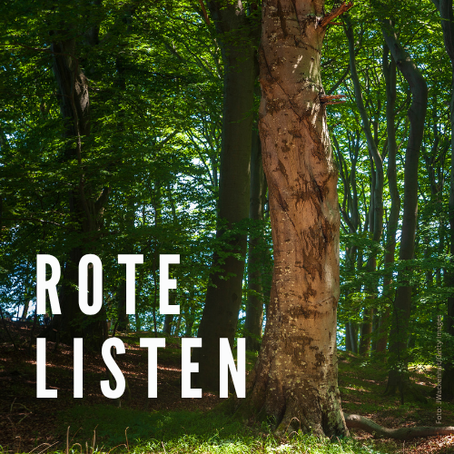 Entdecken Sie die Roten Listen